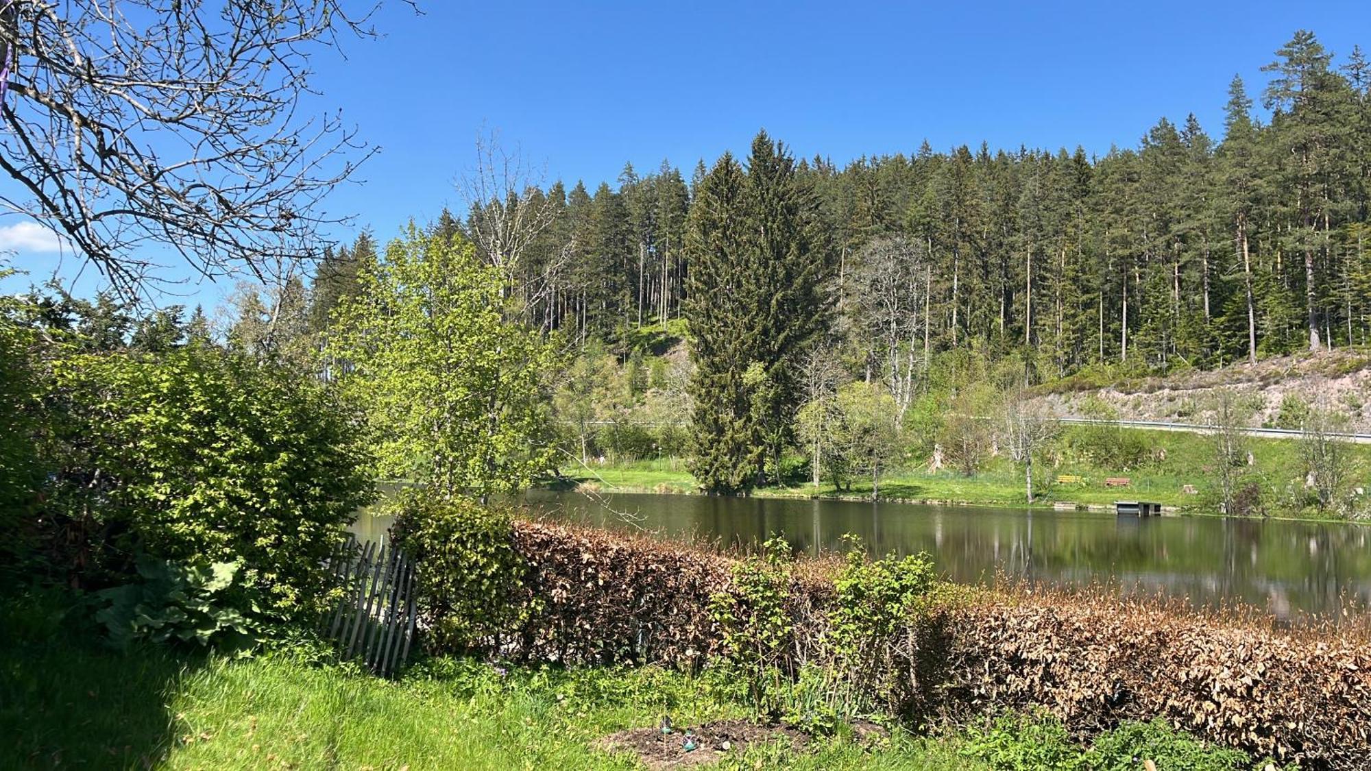 Friedenweiler Haus Am See - Natur Pur מראה חיצוני תמונה