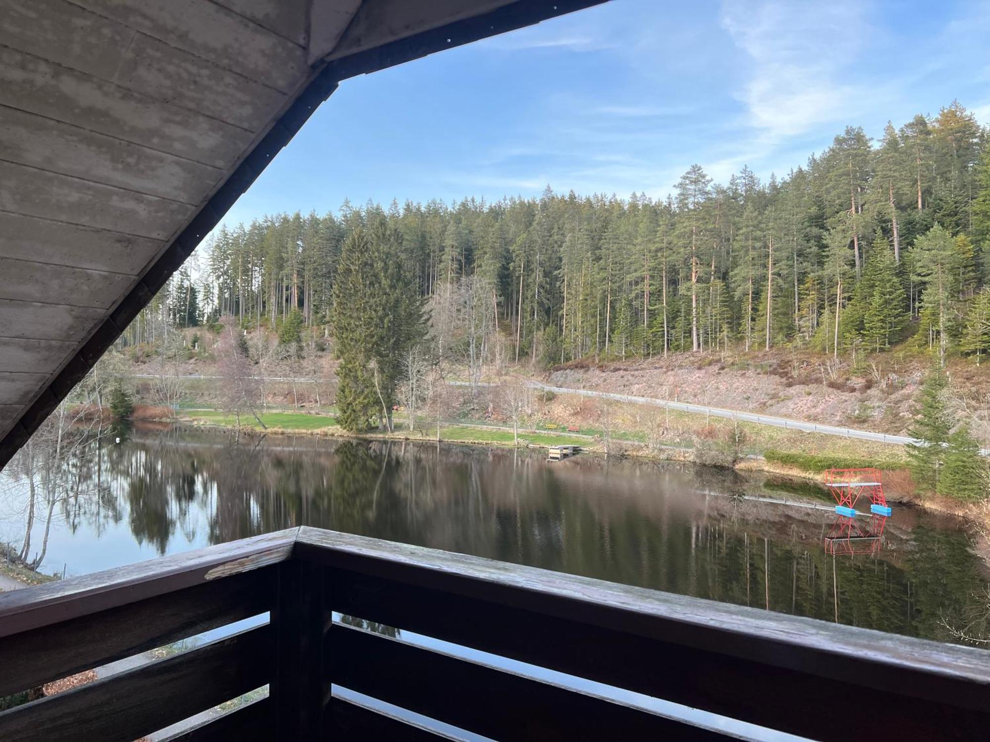Friedenweiler Haus Am See - Natur Pur מראה חיצוני תמונה