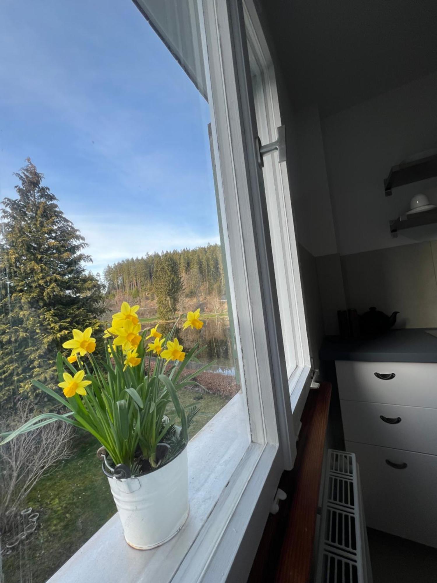 Friedenweiler Haus Am See - Natur Pur מראה חיצוני תמונה