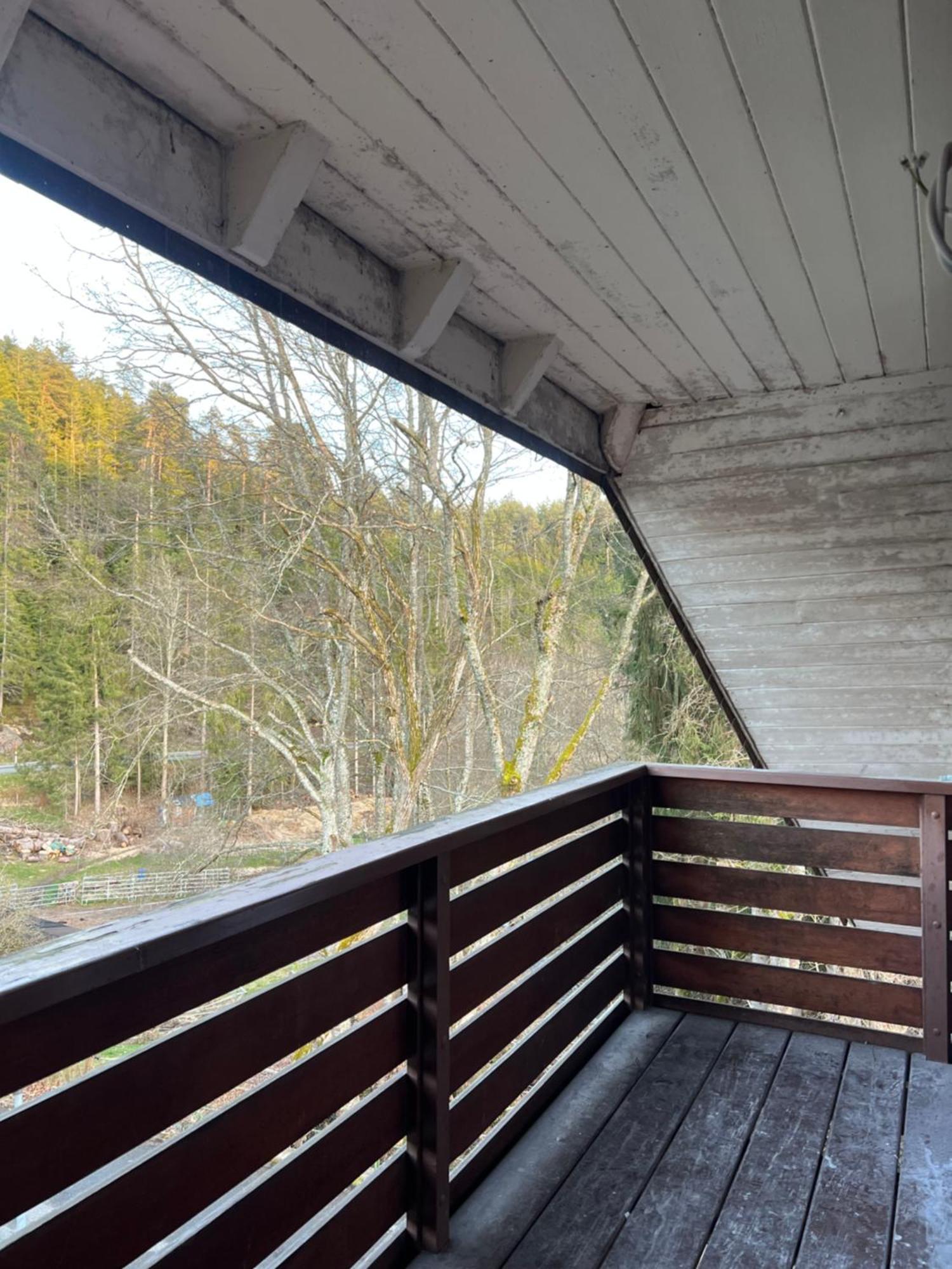 Friedenweiler Haus Am See - Natur Pur מראה חיצוני תמונה