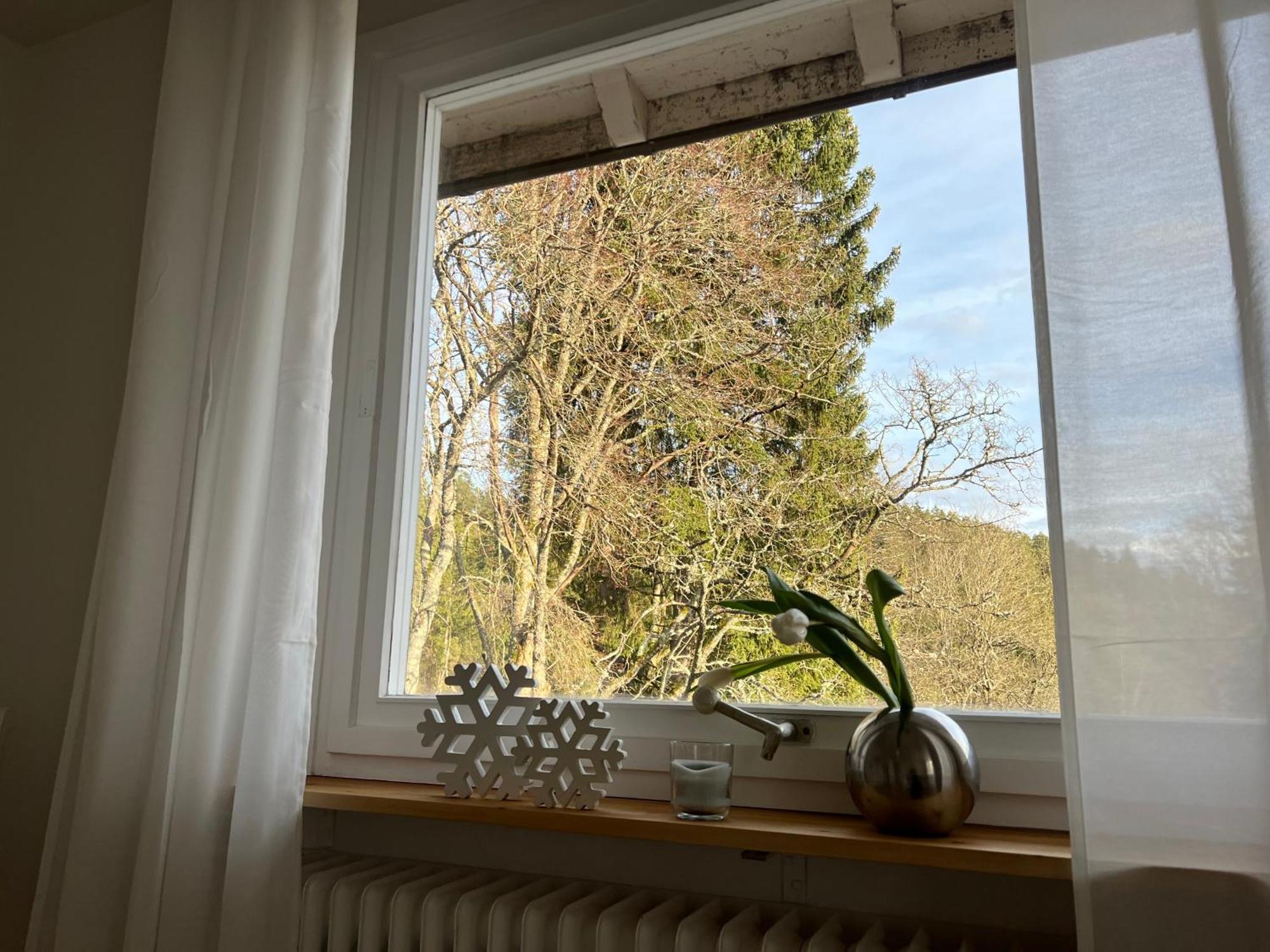 Friedenweiler Haus Am See - Natur Pur מראה חיצוני תמונה