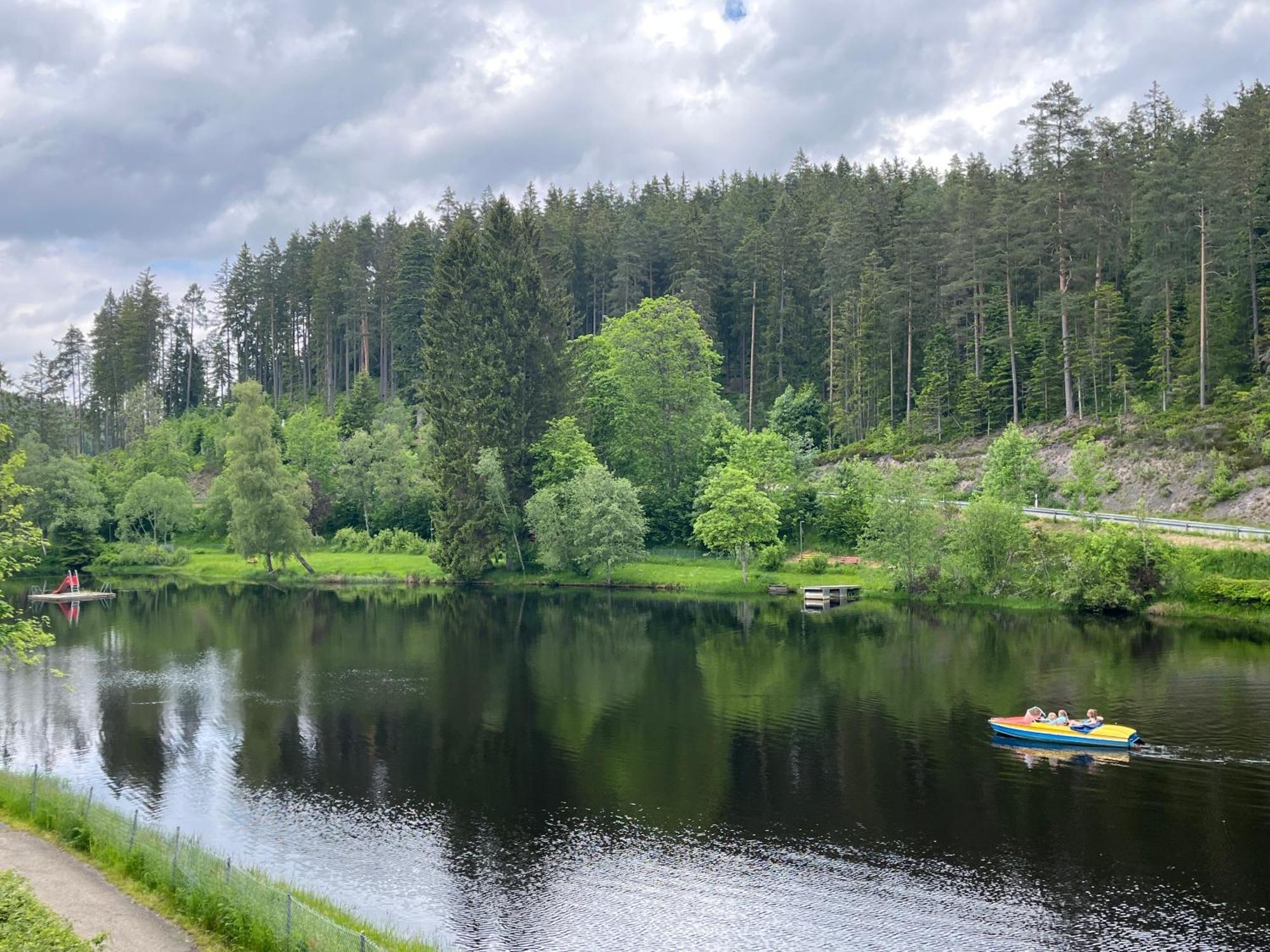 Friedenweiler Haus Am See - Natur Pur מראה חיצוני תמונה