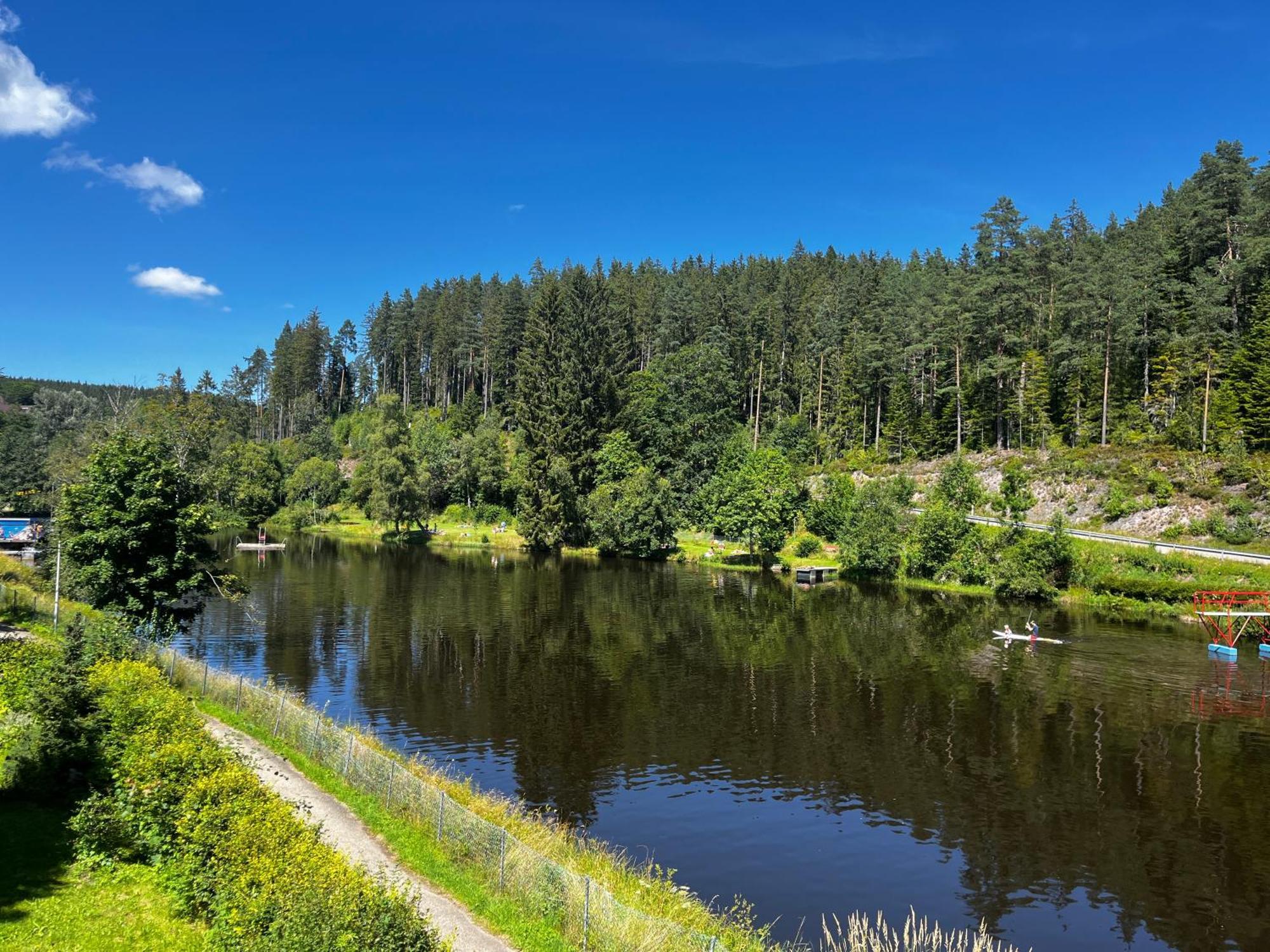 Friedenweiler Haus Am See - Natur Pur מראה חיצוני תמונה