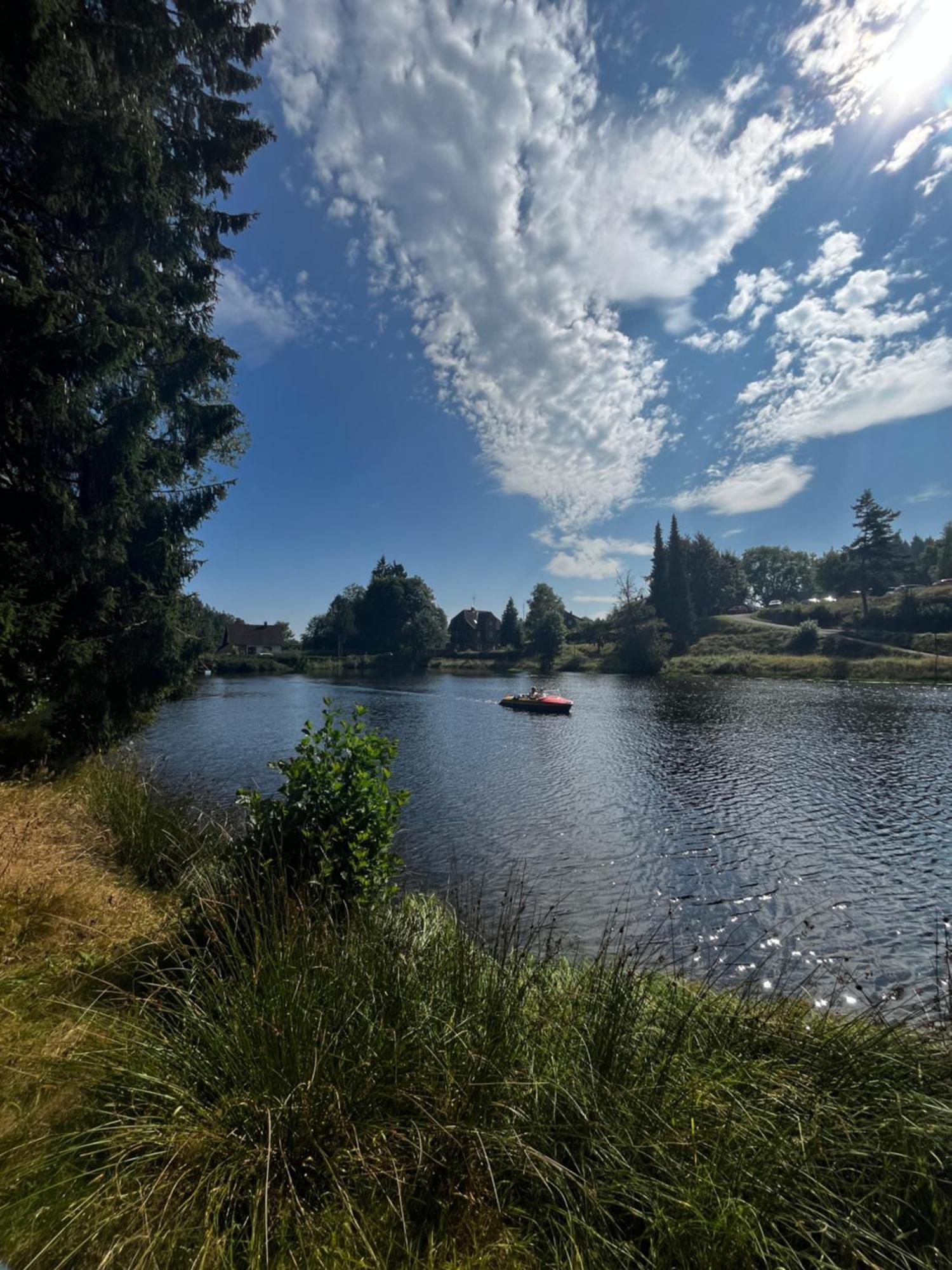 Friedenweiler Haus Am See - Natur Pur מראה חיצוני תמונה