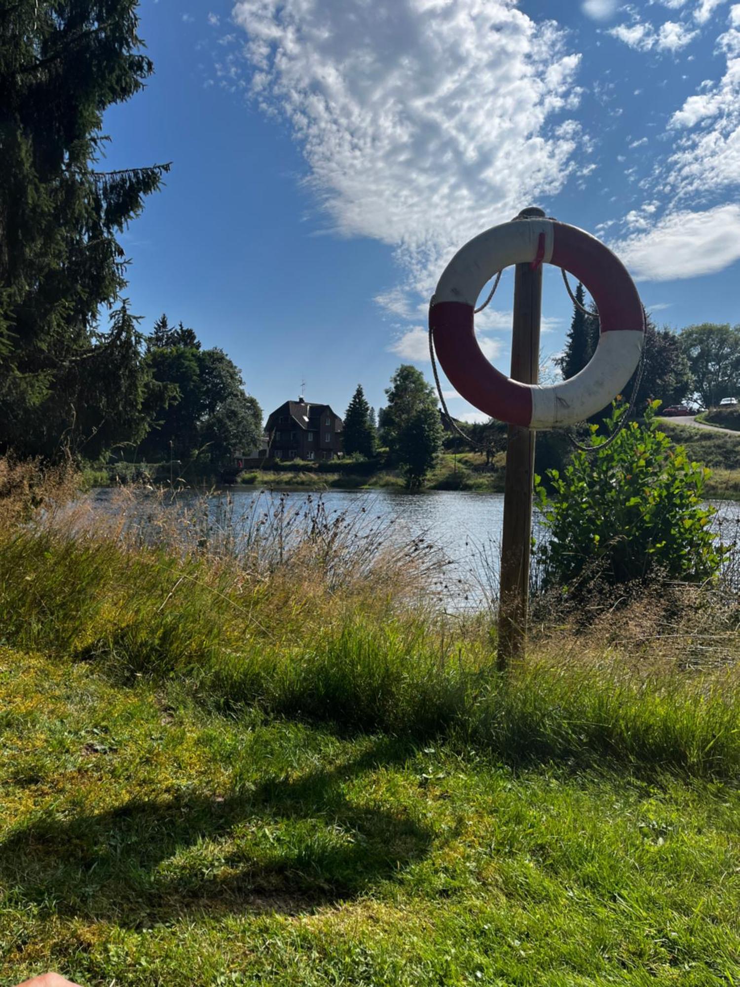 Friedenweiler Haus Am See - Natur Pur מראה חיצוני תמונה