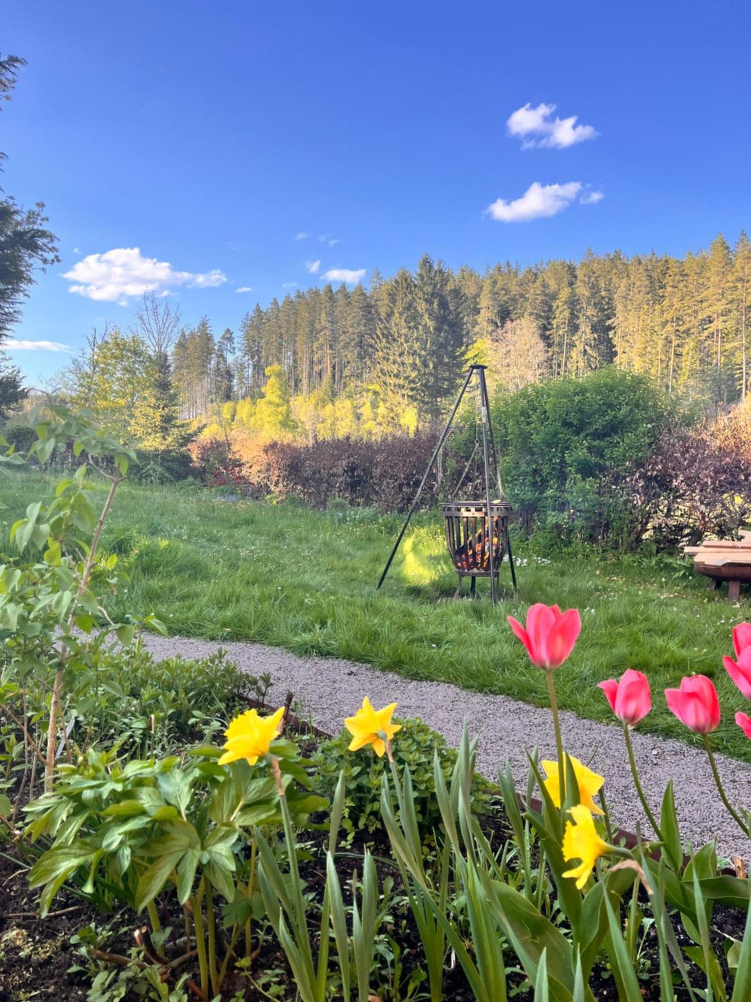 Friedenweiler Haus Am See - Natur Pur מראה חיצוני תמונה