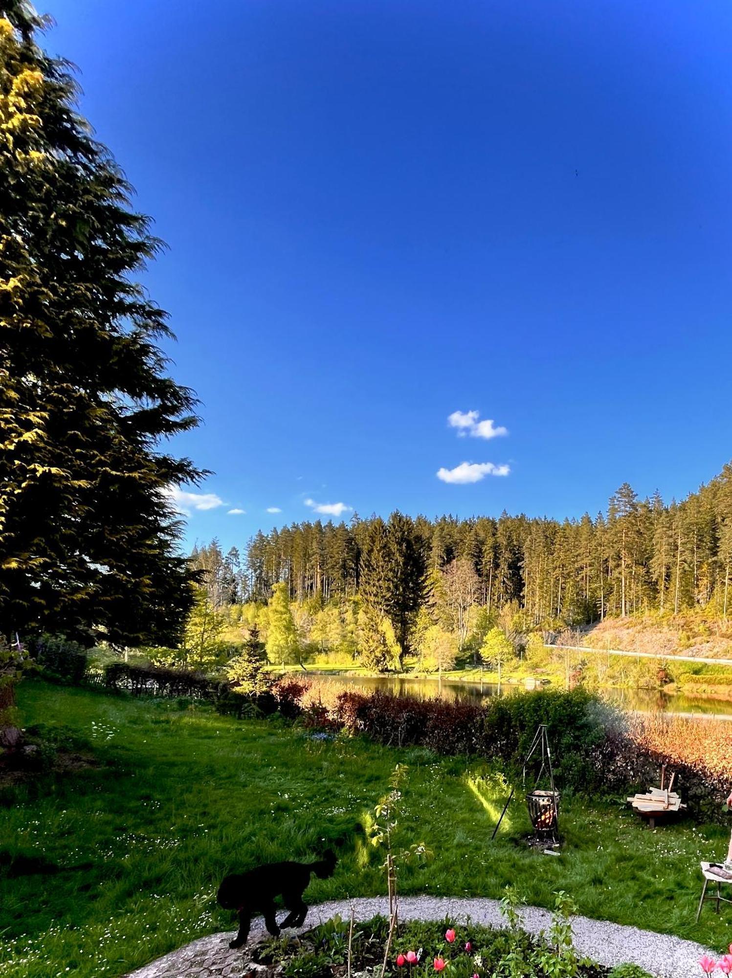 Friedenweiler Haus Am See - Natur Pur מראה חיצוני תמונה